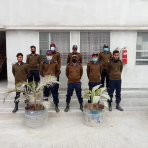 Corporate Security